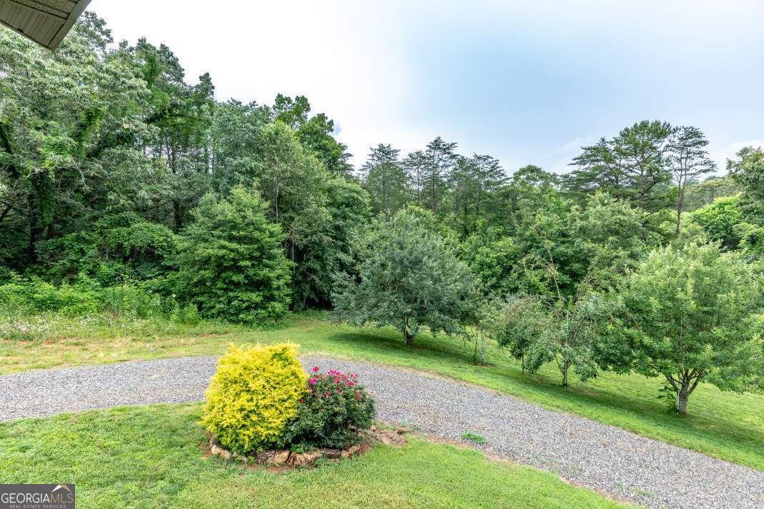 65 Lower River View Road Blairsville - 13