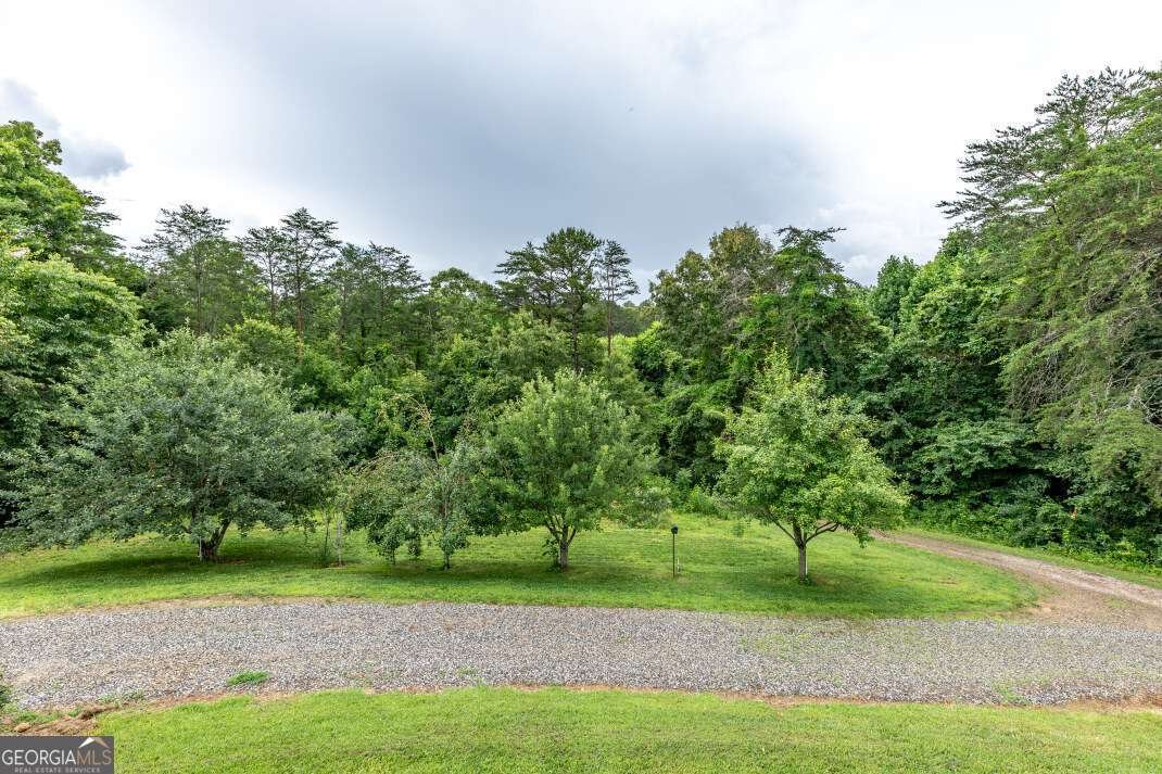 65 Lower River View Road Blairsville - 14