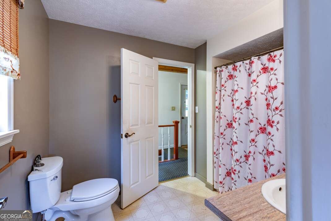 65 Lower River View Road Blairsville - 18