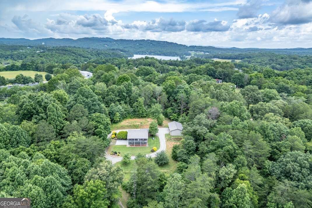 65 Lower River View Road Blairsville - 48