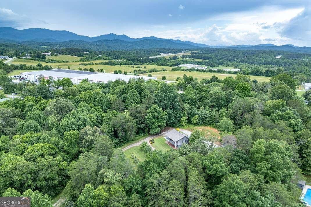 65 Lower River View Road Blairsville - 53