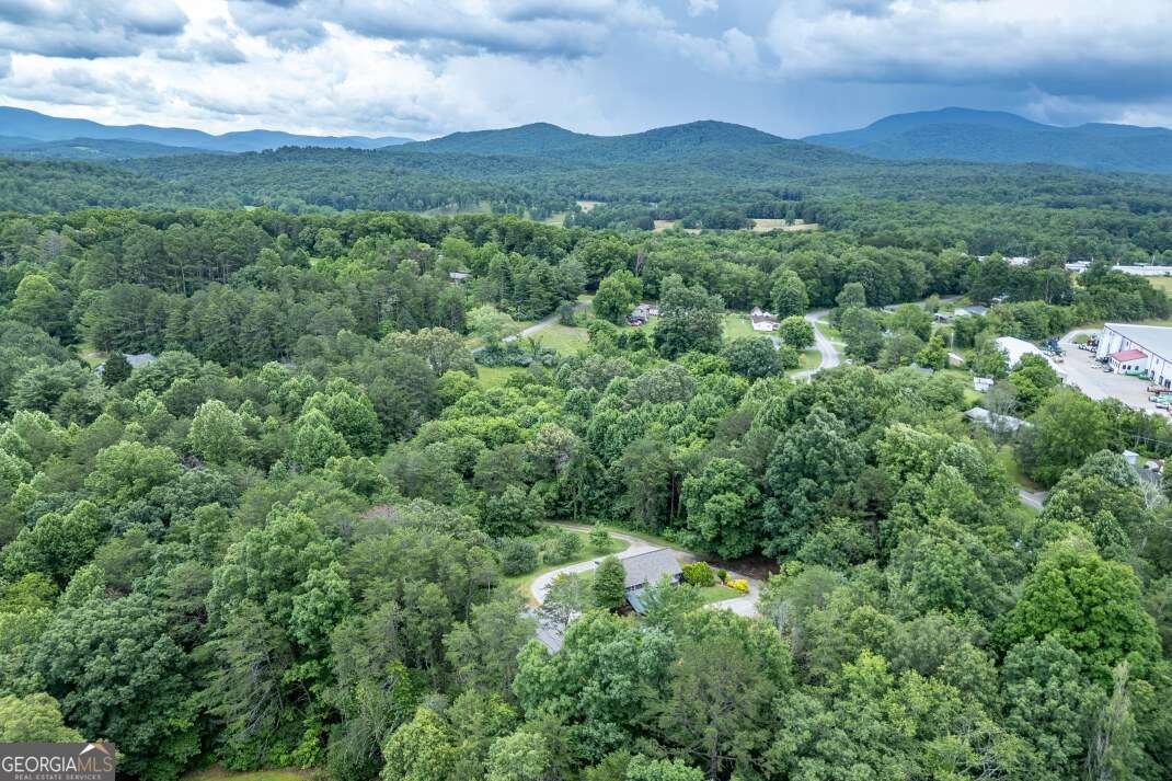 65 Lower River View Road Blairsville - 54