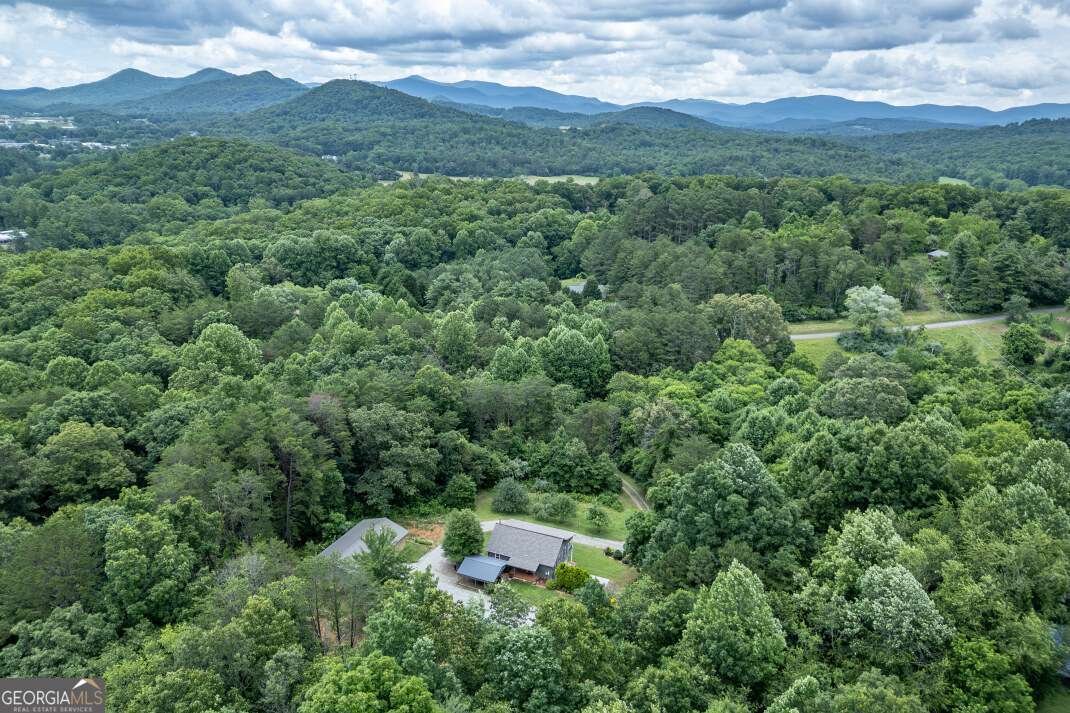 65 Lower River View Road Blairsville - 56