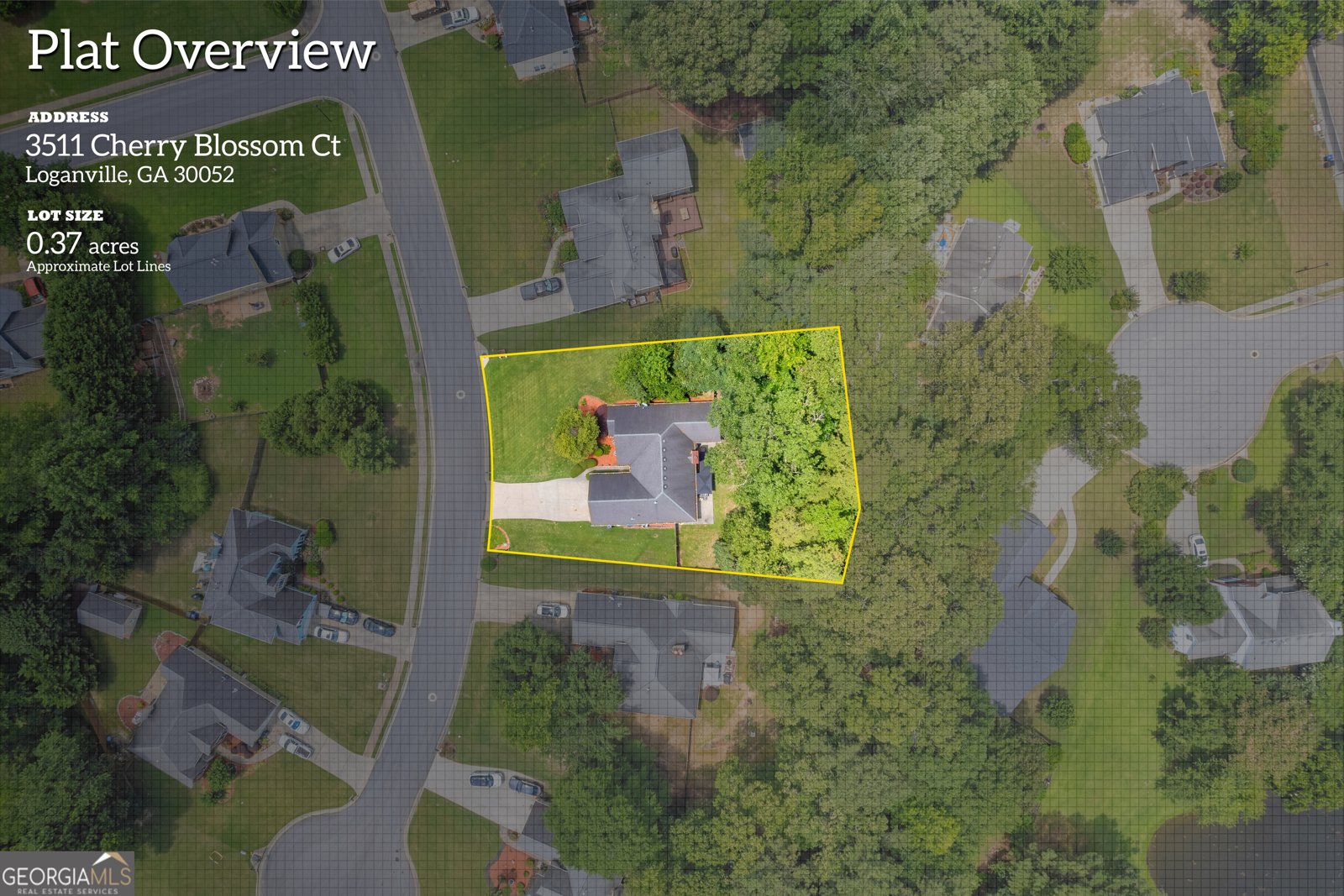 3511 Cherry Blossom Court Loganville - 40