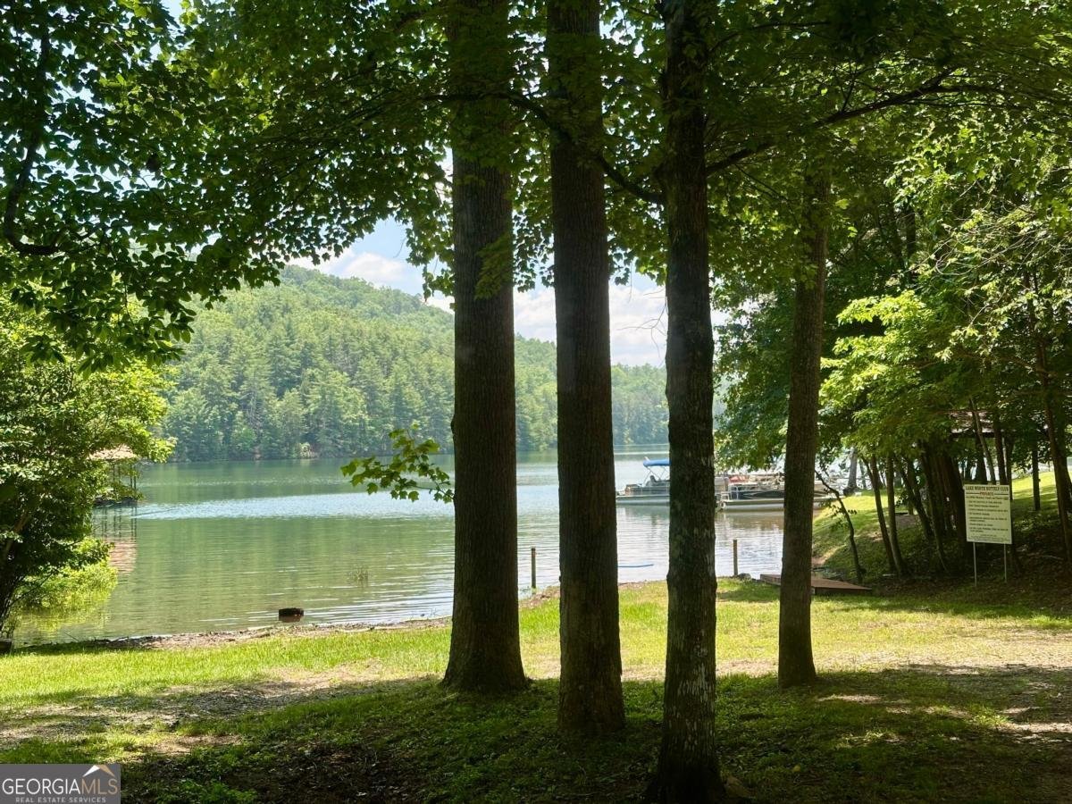 306 Lake View Circle Blairsville - 11