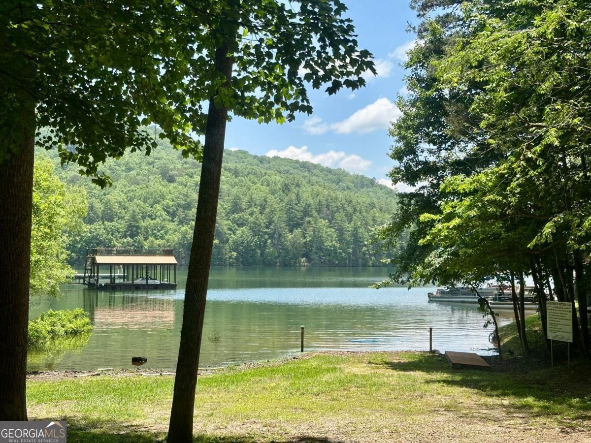 306 Lake View Circle Blairsville - 12