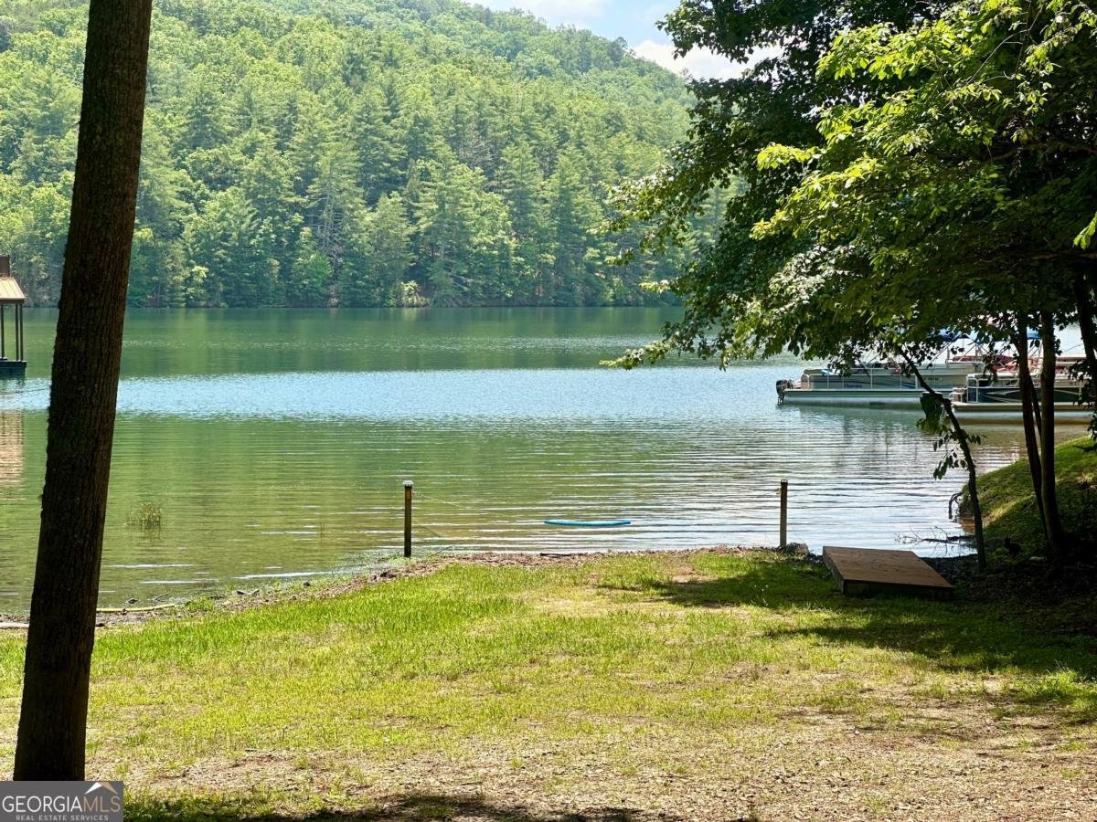 306 Lake View Circle Blairsville - 14