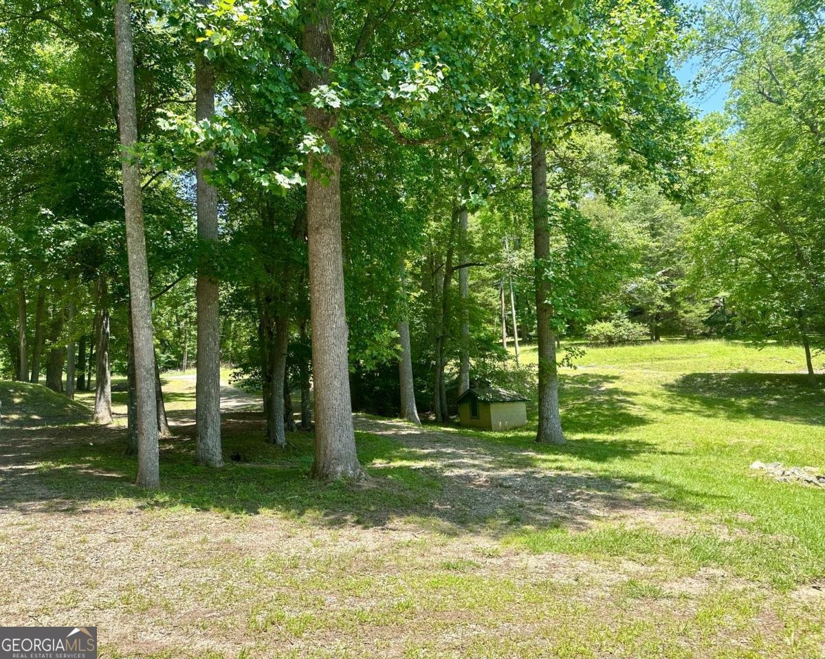 306 Lake View Circle Blairsville - 17