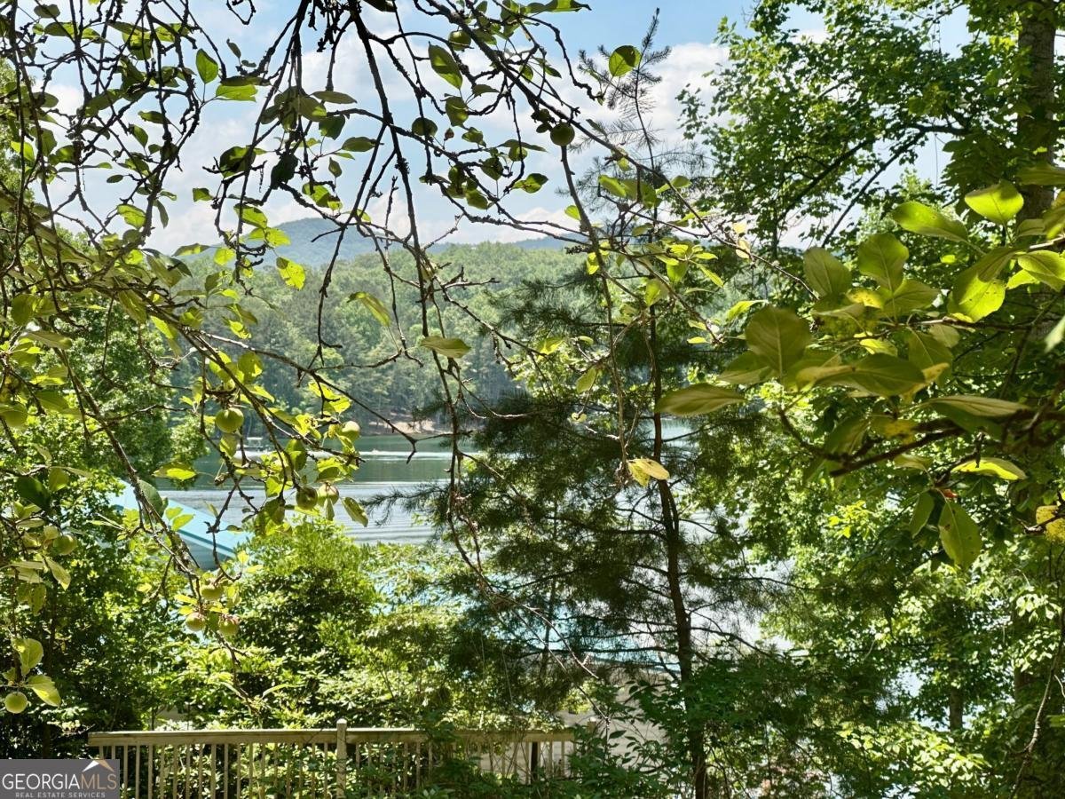 306 Lake View Circle Blairsville - 24