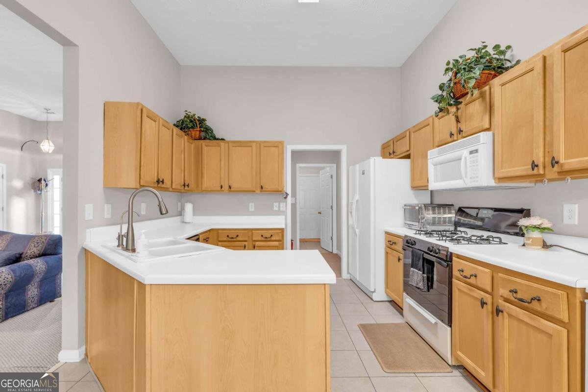 1530 Brisbane Drive Dacula - 9
