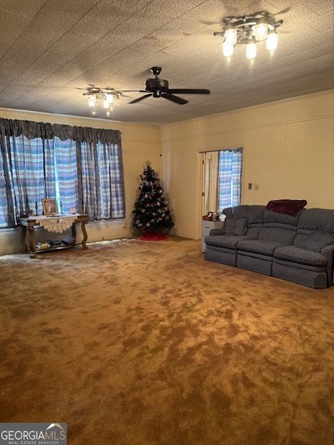 313 Church Street Fort Valley - 28
