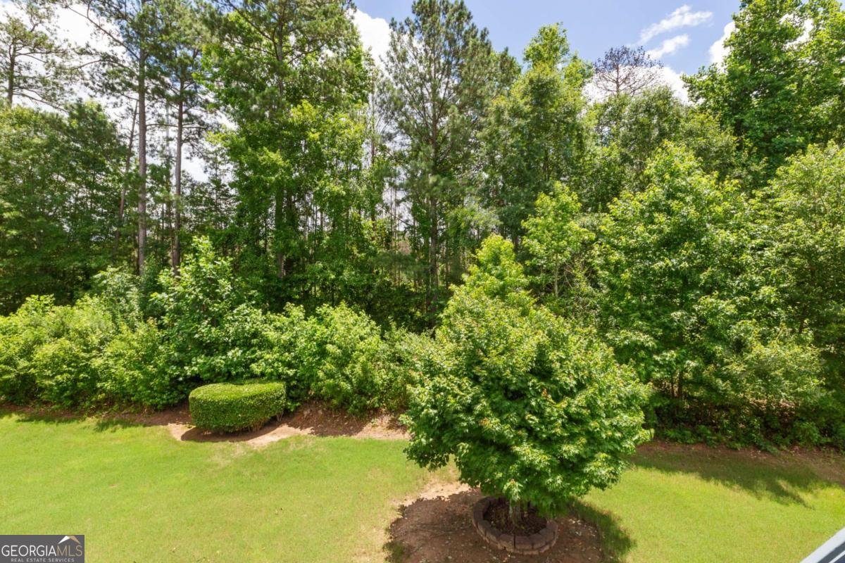 5003 Pacific Dunes Drive Suwanee - 49