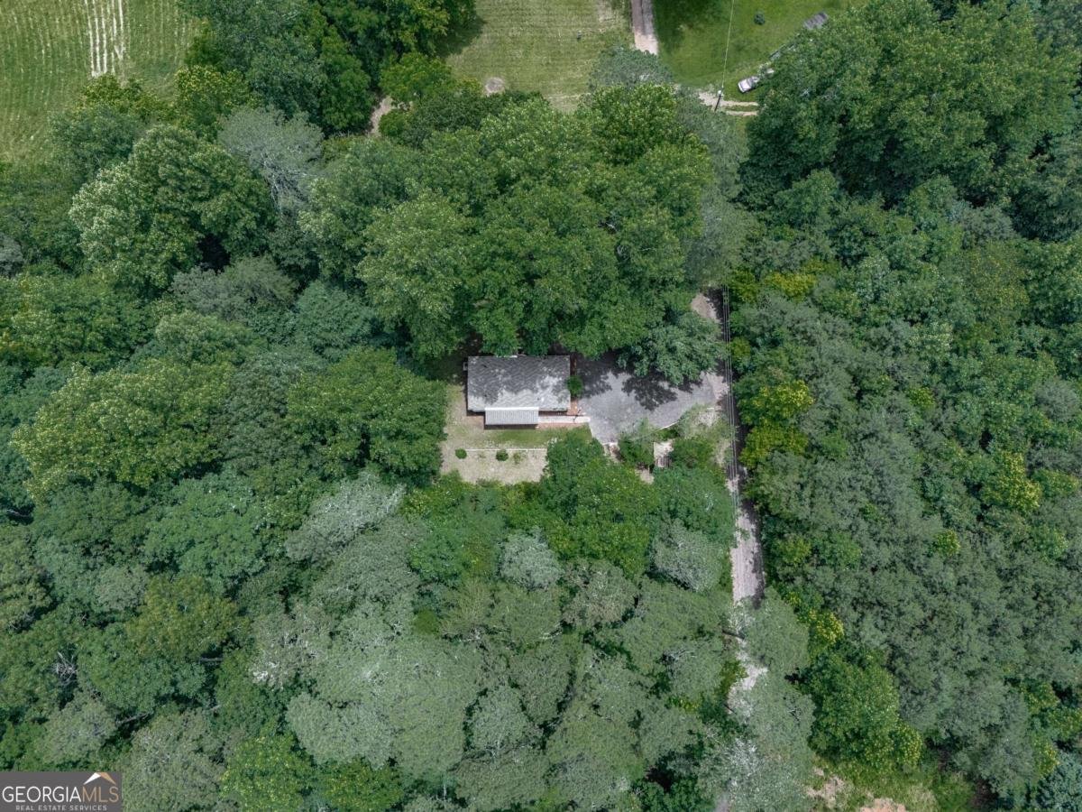 337 Theodore Cox Circle Canton - 41