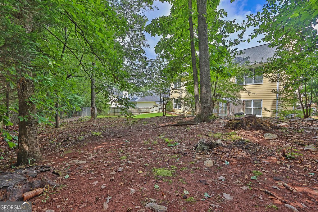 1254 Williston Drive Lawrenceville - 25