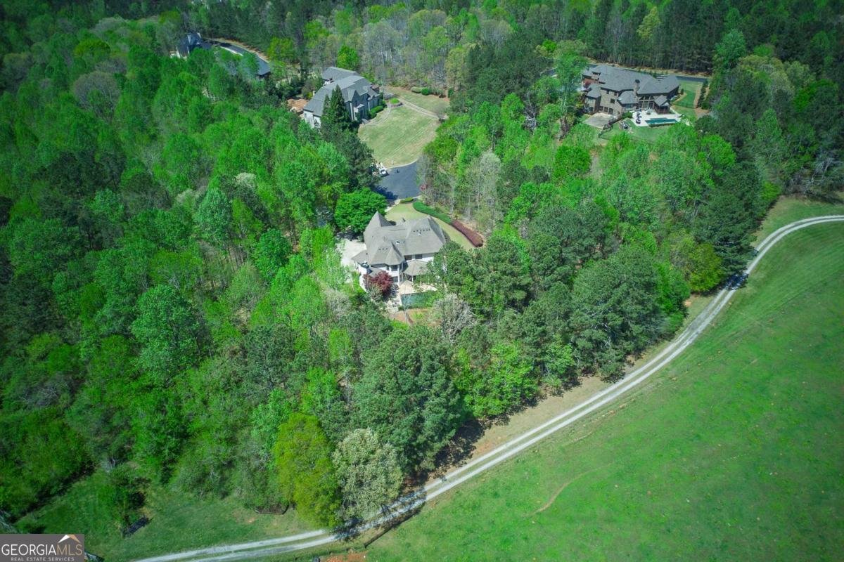 921 Accipiter Way Ball Ground - 50