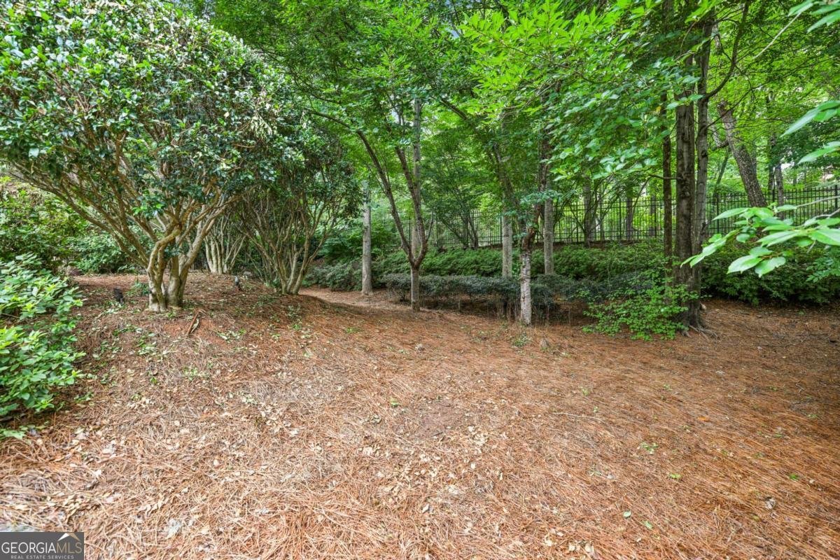 145 Ardsley Lane Alpharetta - 46