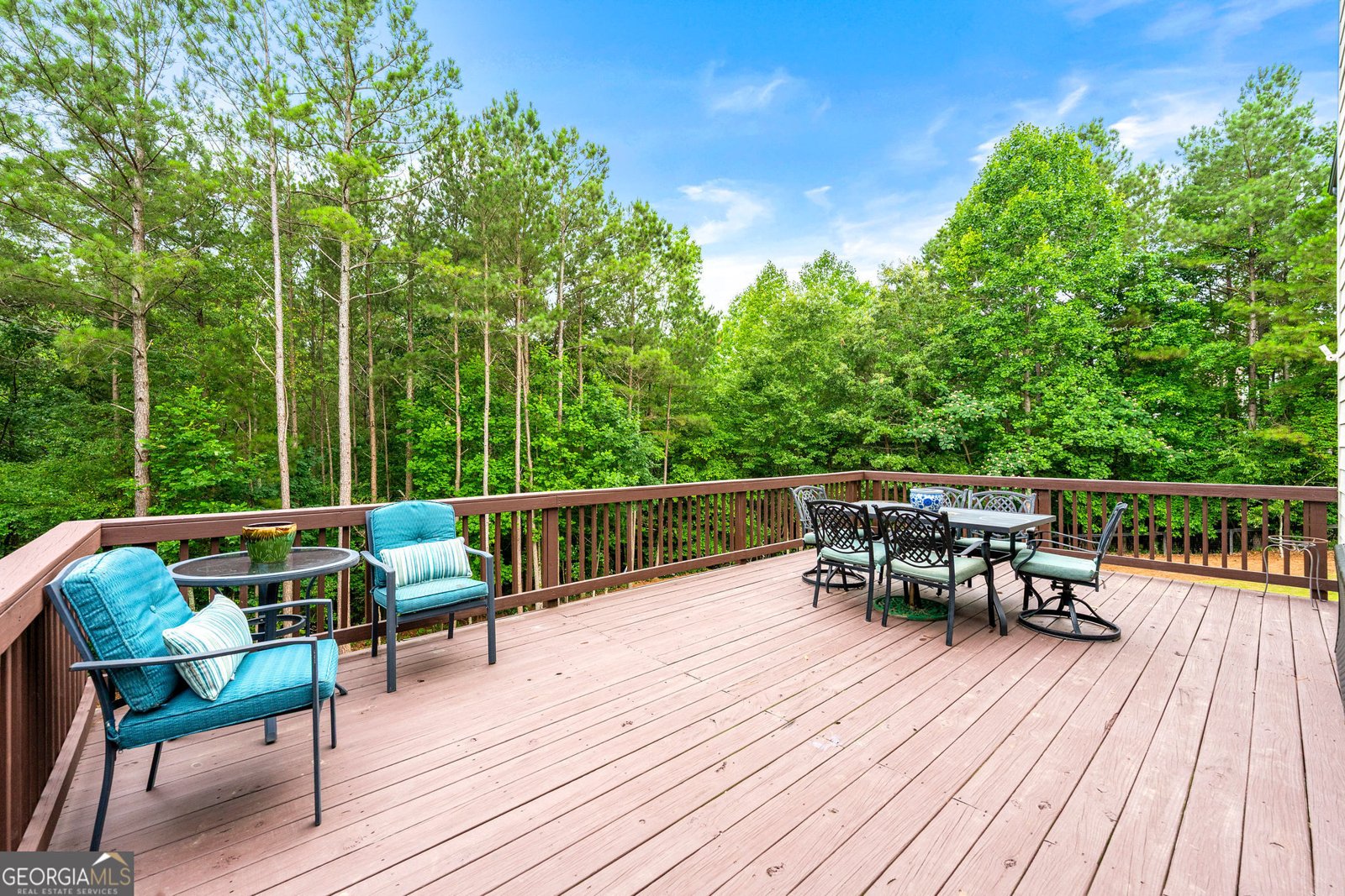 510 Black Horse Circle Canton - 21