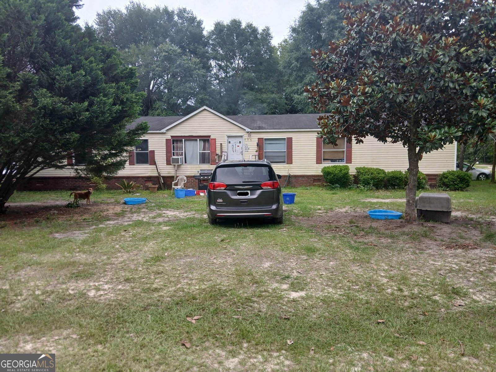 125 Blue Bream SPUR Sylvania - 1