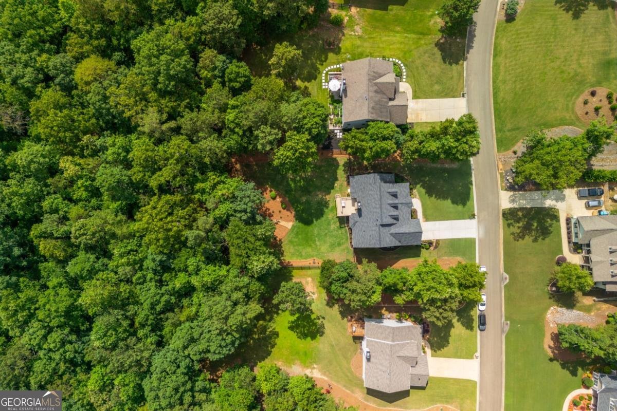 516 Black Horse Circle Canton - 12