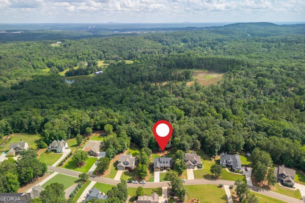 516 Black Horse Circle Canton - 15