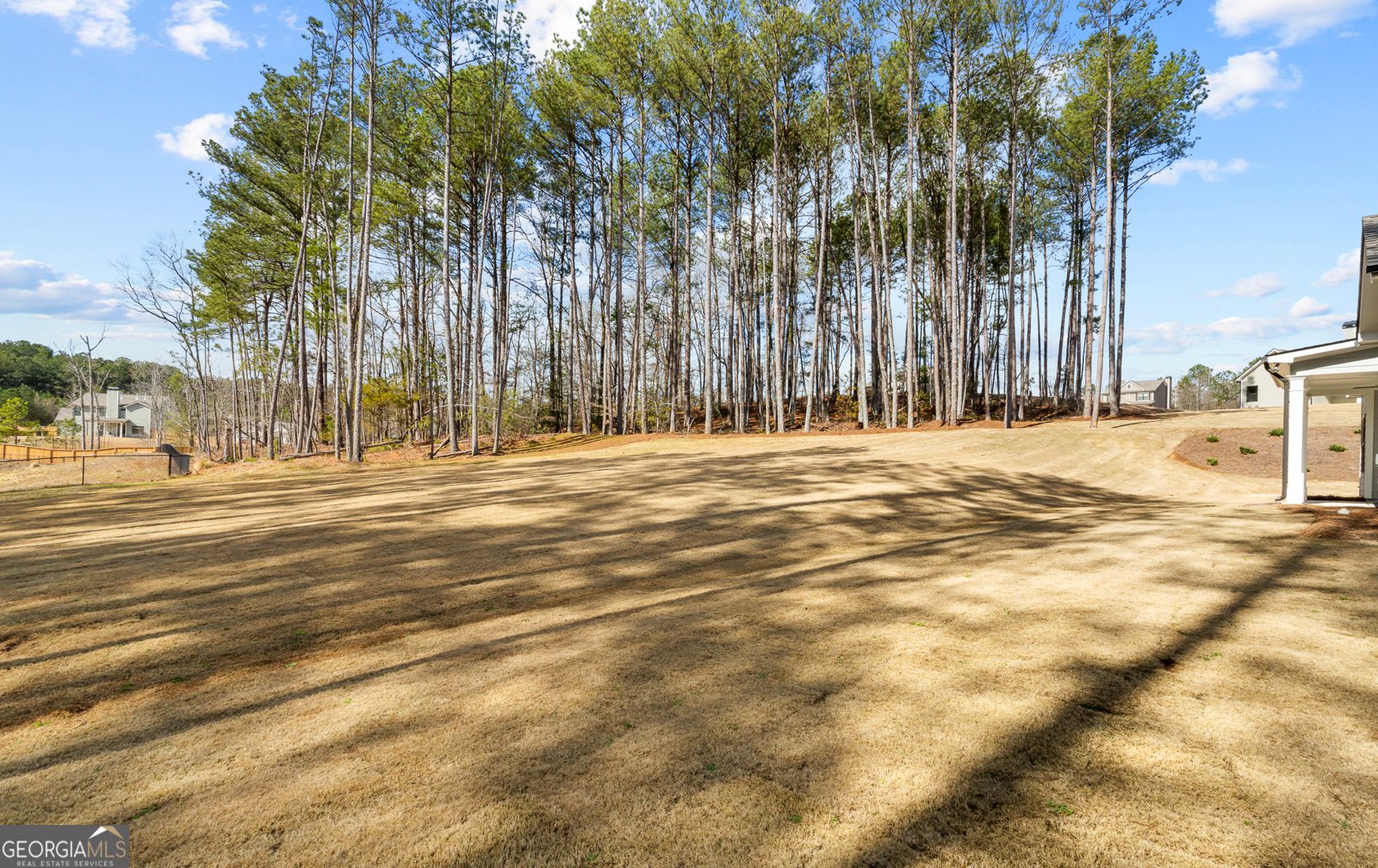 1038 Red Oak Lane Loganville - Photo 22