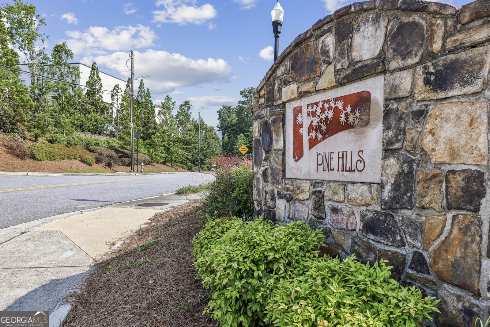 1151 Roxboro Cove Atlanta - 52