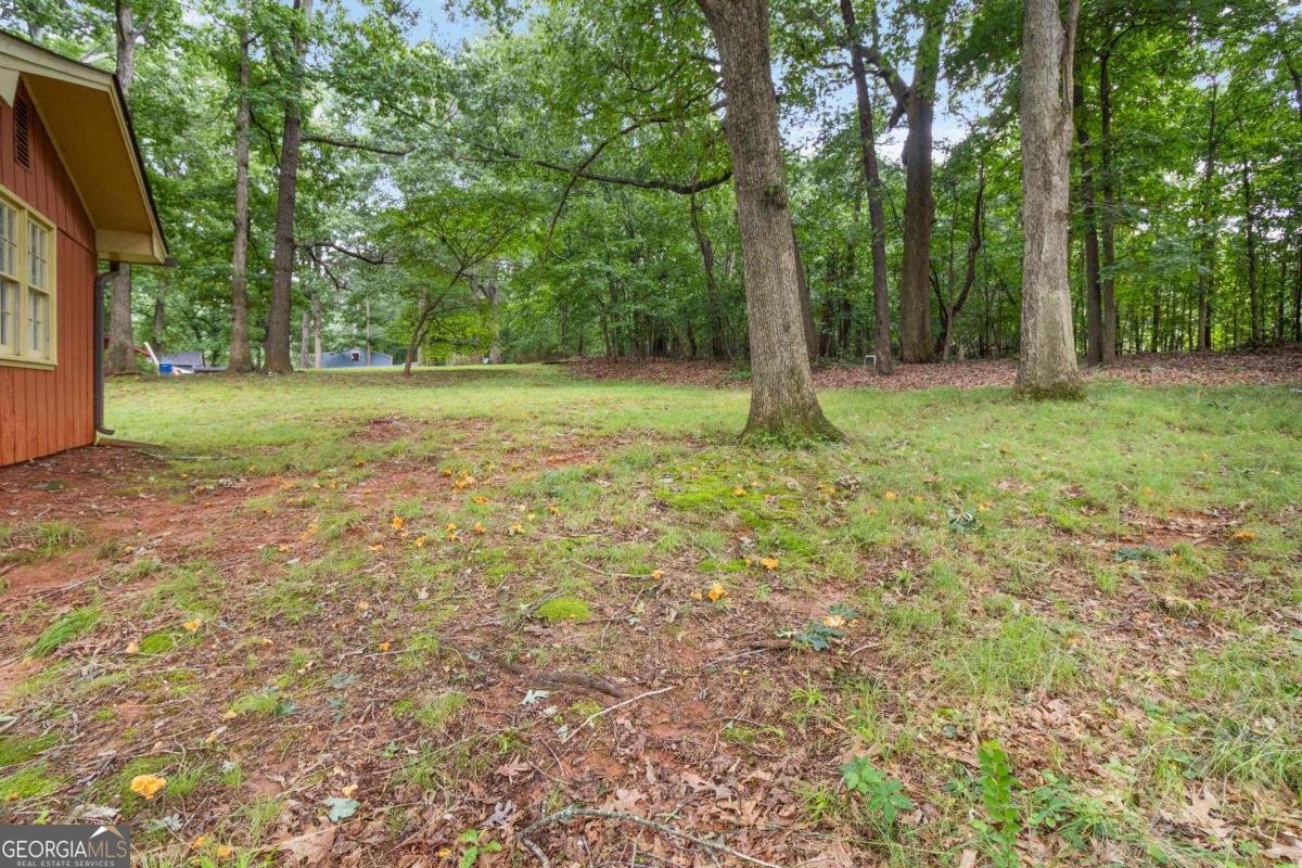 223 Dogwood Lane Lawrenceville - 35