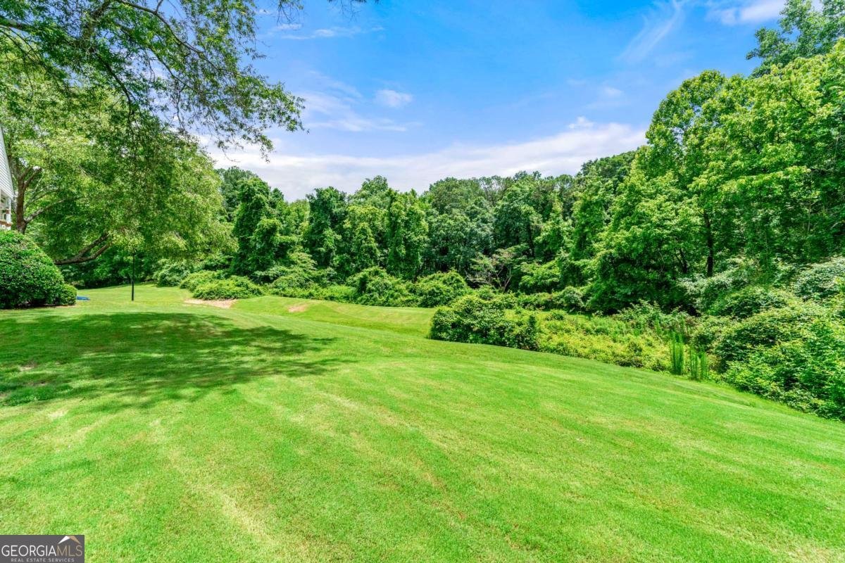 1003 Cannongate Crossing Marietta - 19