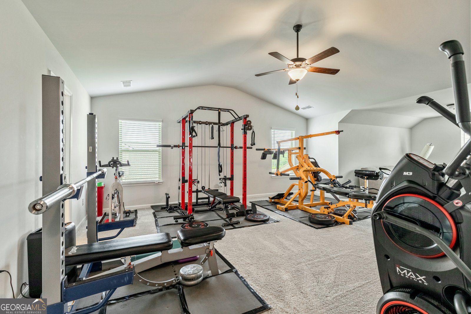 209 Osier Drive McDonough - 33