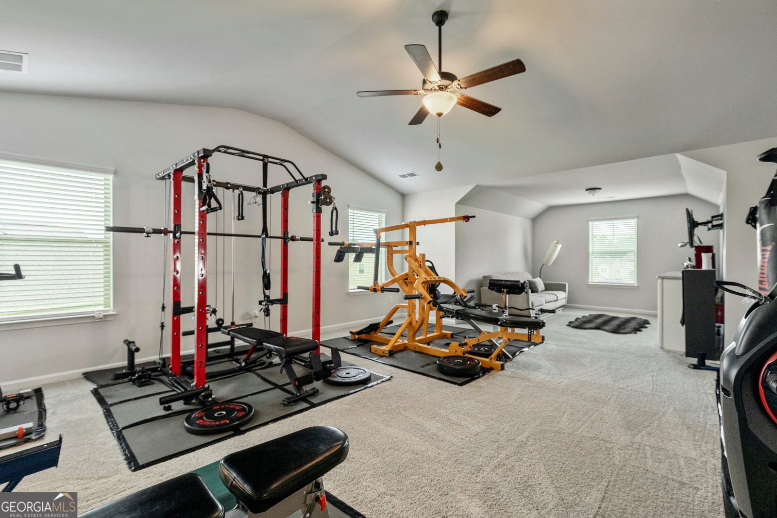209 Osier Drive McDonough - 34