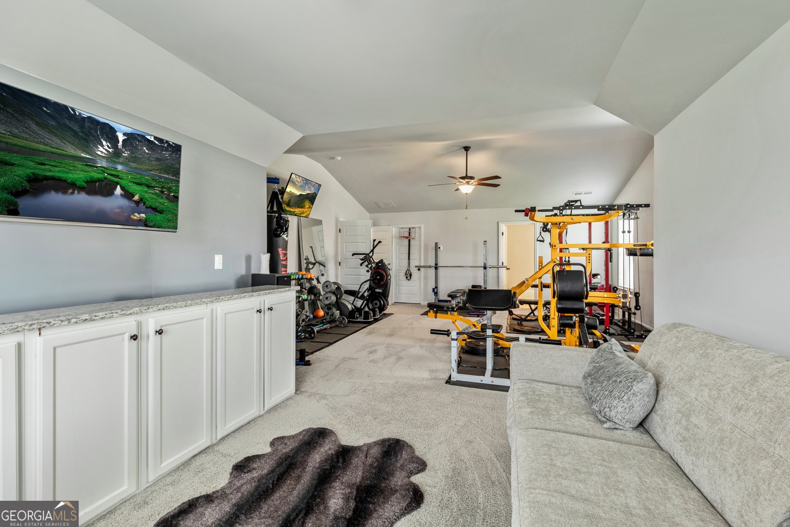 209 Osier Drive McDonough - 35