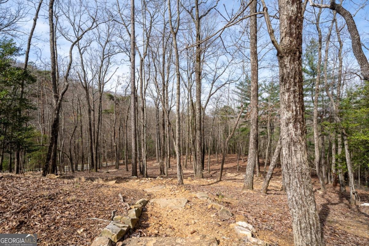 1181 1181 Tickanetley Road Ellijay - 20