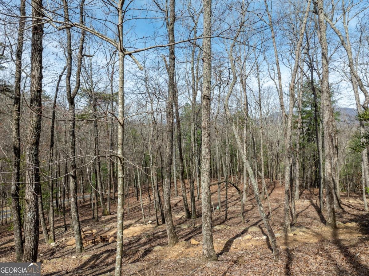 1181 1181 Tickanetley Road Ellijay - 21