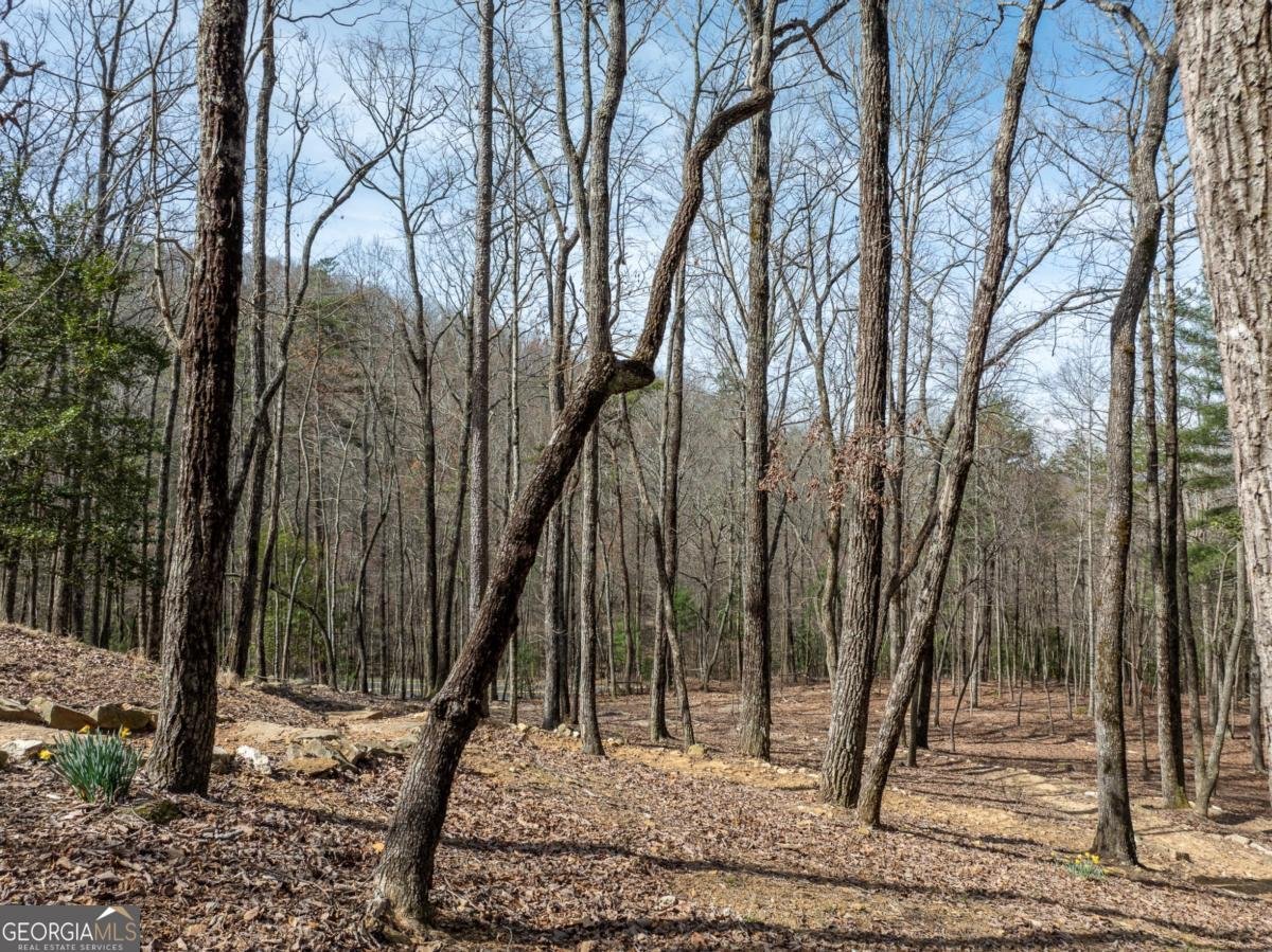 1181 1181 Tickanetley Road Ellijay - 22