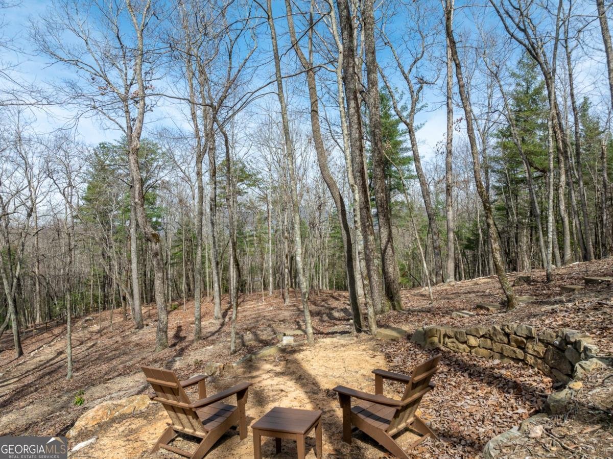 1181 1181 Tickanetley Road Ellijay - 23