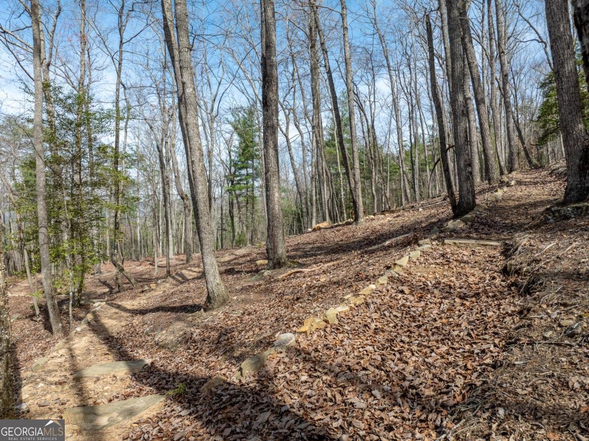 1181 1181 Tickanetley Road Ellijay - 25