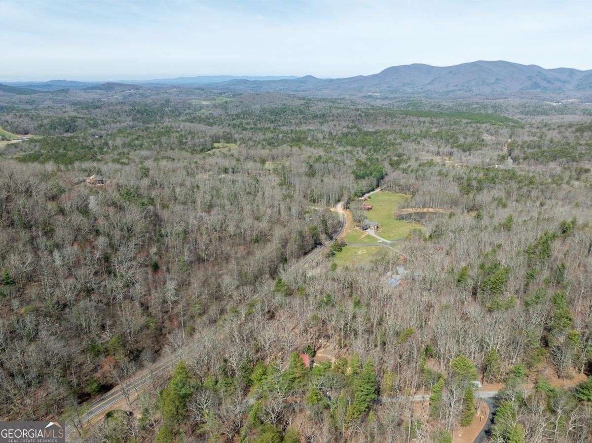1181 1181 Tickanetley Road Ellijay - 29