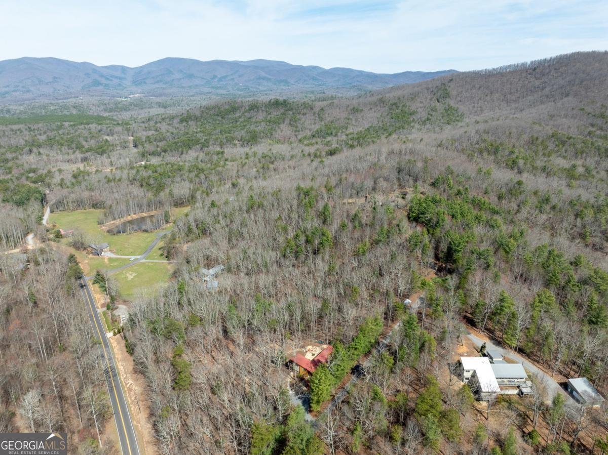 1181 1181 Tickanetley Road Ellijay - 30