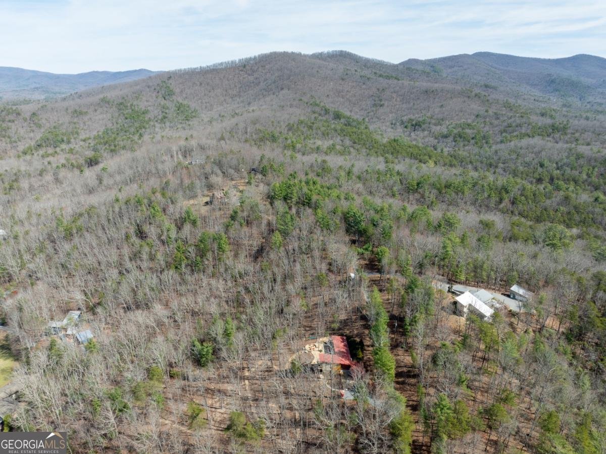 1181 1181 Tickanetley Road Ellijay - 31