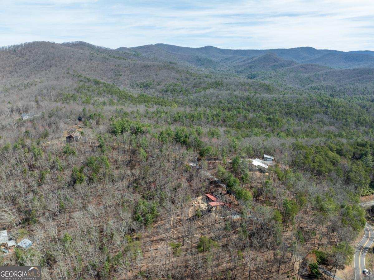 1181 1181 Tickanetley Road Ellijay - 32
