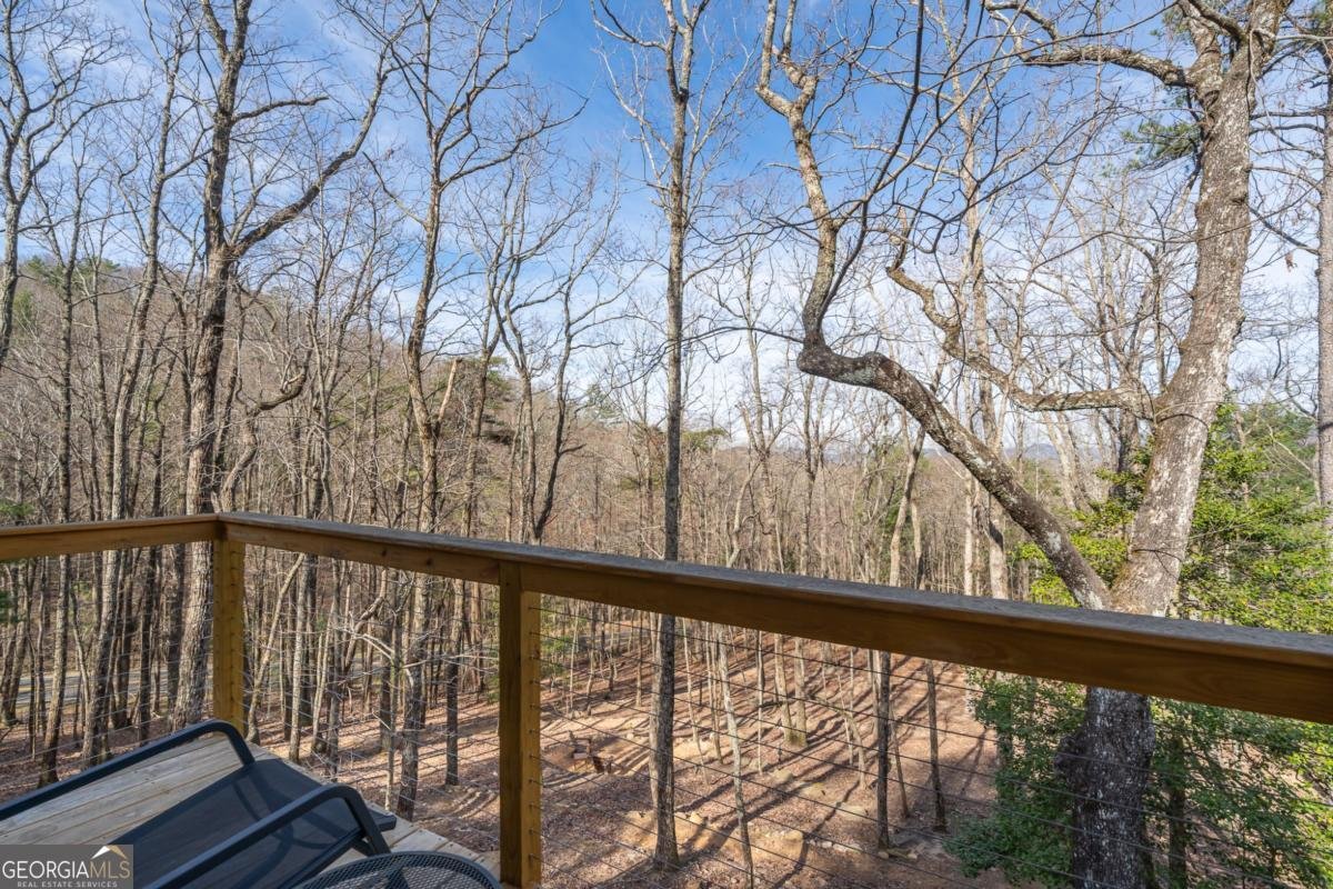 1181 1181 Tickanetley Road Ellijay - 5