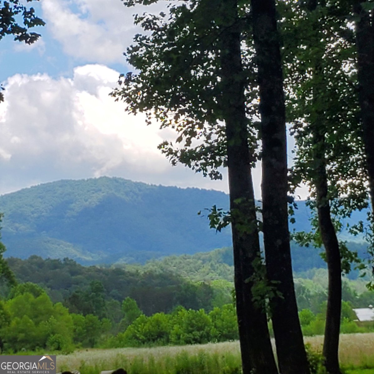3349 Whitepath Road Ellijay - 47
