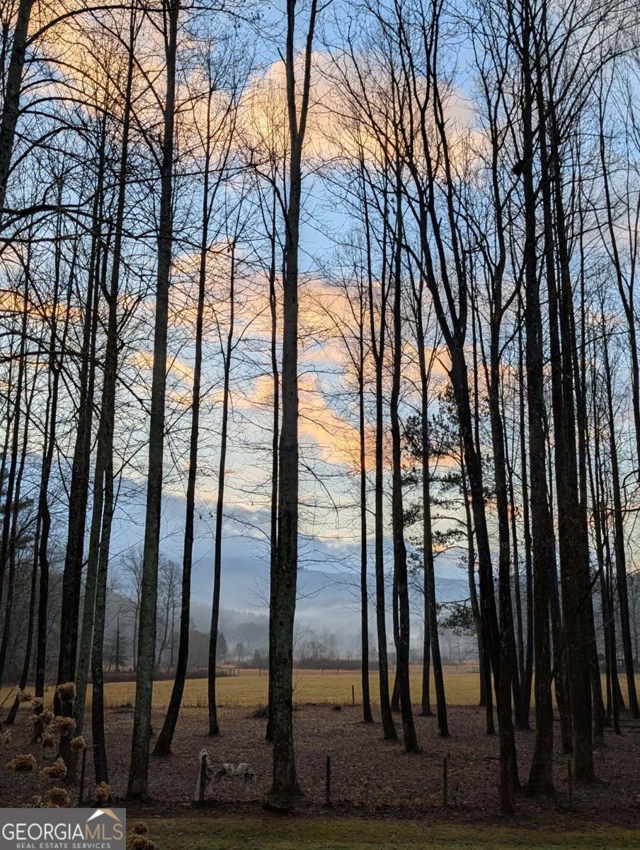 3349 Whitepath Road Ellijay - 48