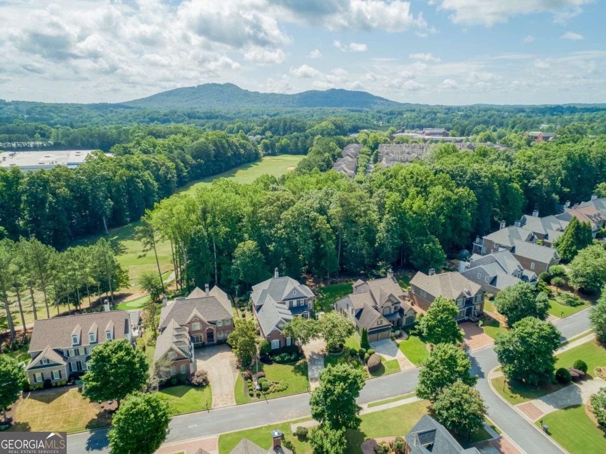 1382 Murrays Loch Place Kennesaw - 53