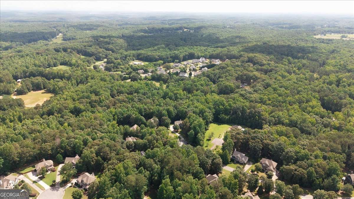 214 Davis Mill Road Ball Ground - 11