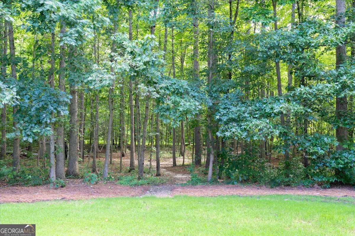 214 Davis Mill Road Ball Ground - 2