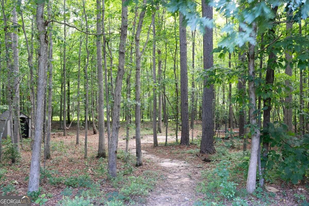 214 Davis Mill Road Ball Ground - 3