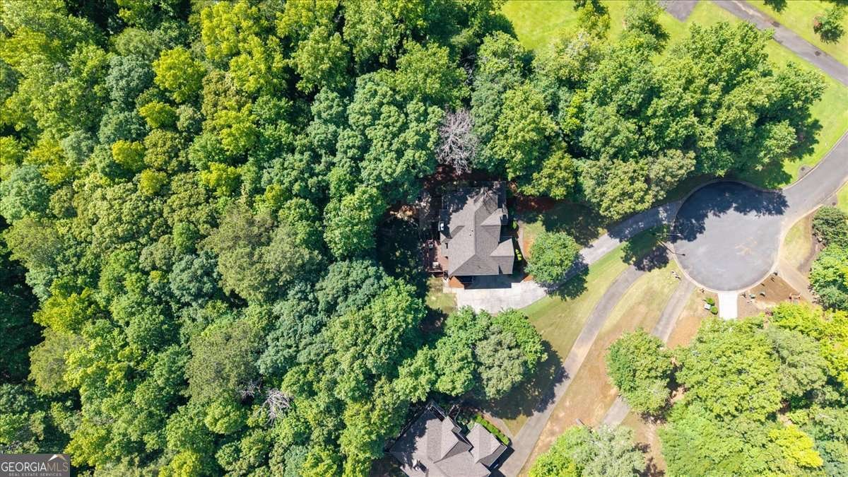 214 Davis Mill Road Ball Ground - 49