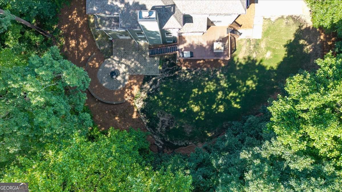 214 Davis Mill Road Ball Ground - 7