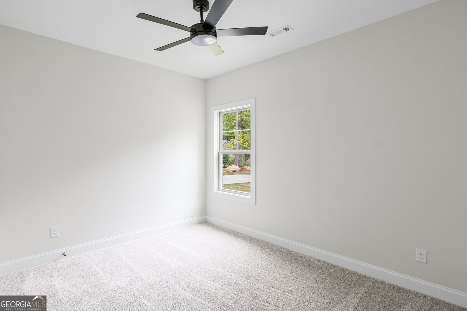 12 Buckthorn Drive Newnan - 30